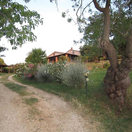 Agriturismo Casa Fibbianello Семпрониано Экстерьер фото