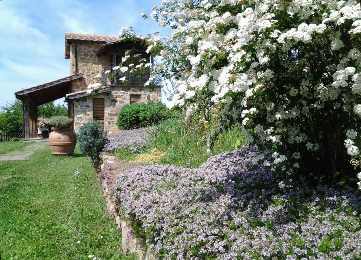 Agriturismo Casa Fibbianello Семпрониано Экстерьер фото