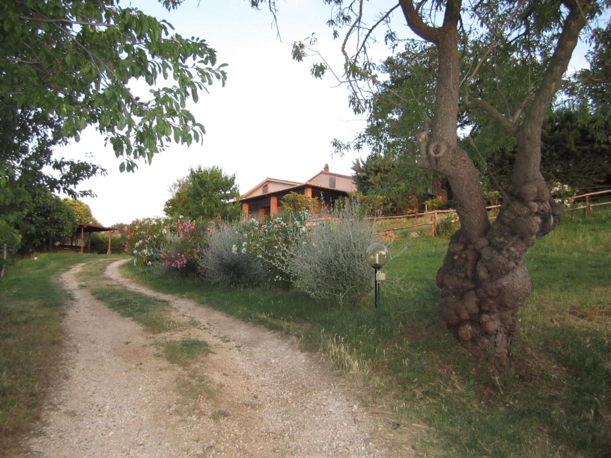 Agriturismo Casa Fibbianello Семпрониано Экстерьер фото